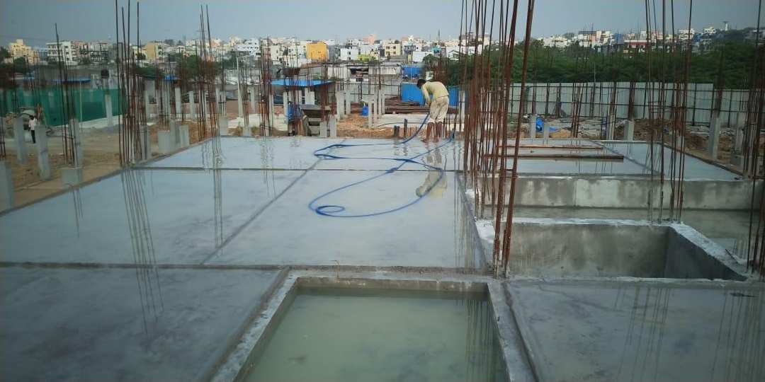 Project 24